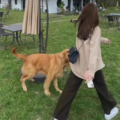 我们村里的人
